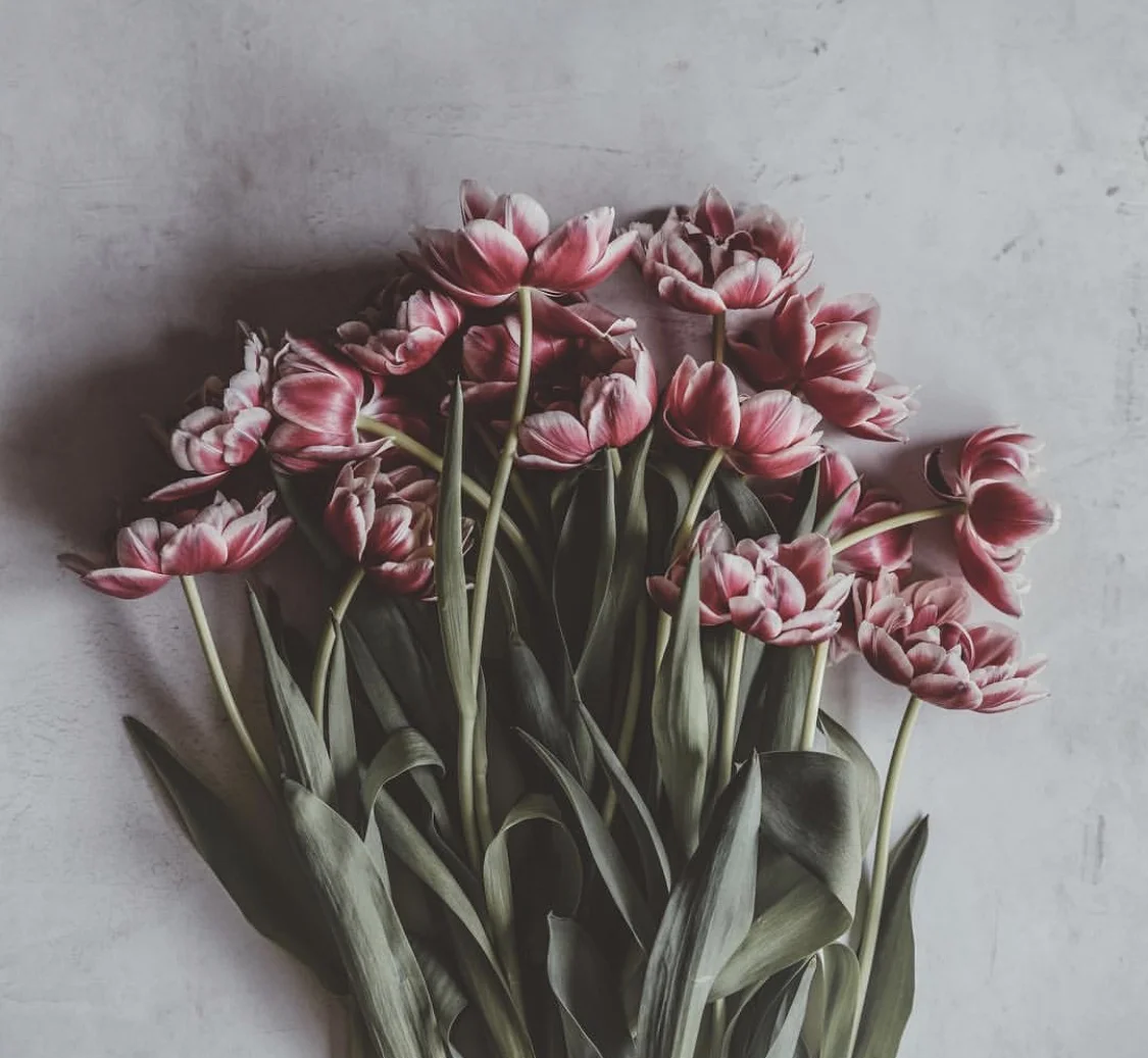 How to Become Emotion Coaches