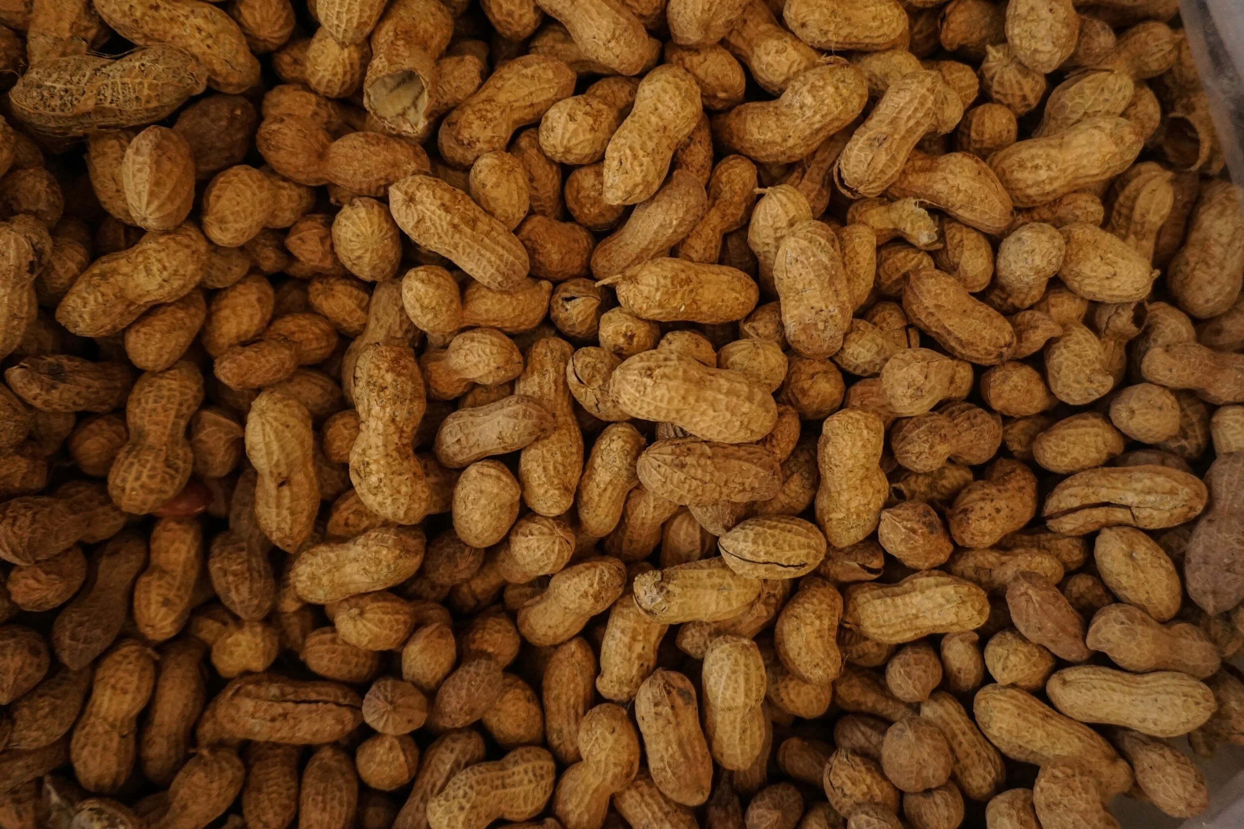 Growing up with Food Allergies