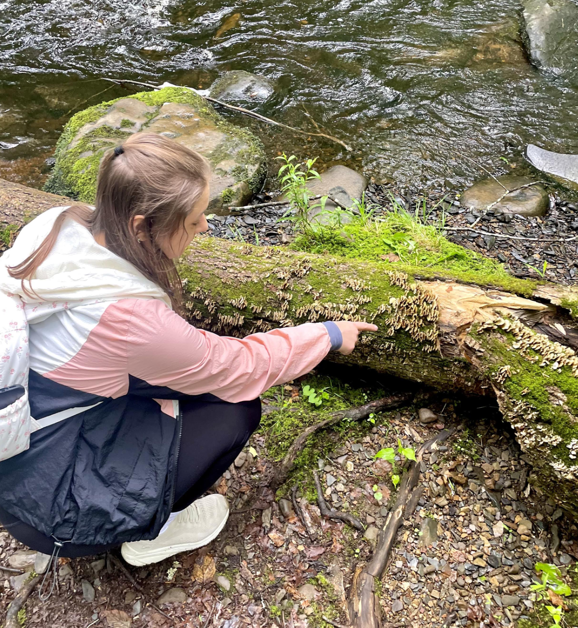 Center City, Philadelphia: Therapist Spotlight: Alicia Steinmetz, MA, NCC