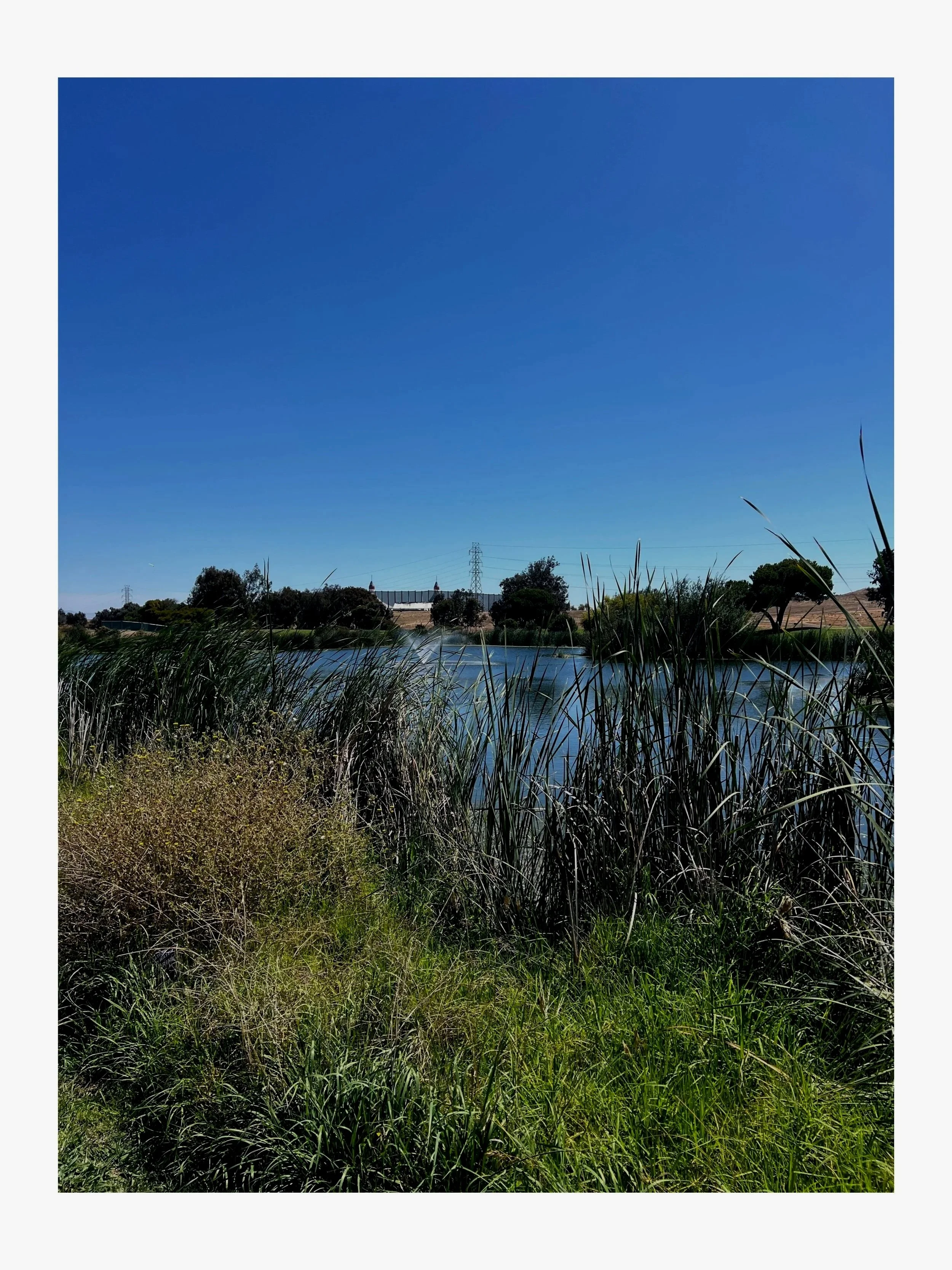 Lake.jpg