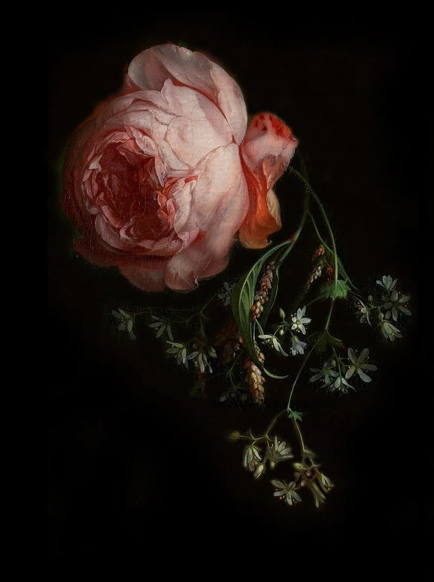 Inspiration Rachel Ruysh.jpg