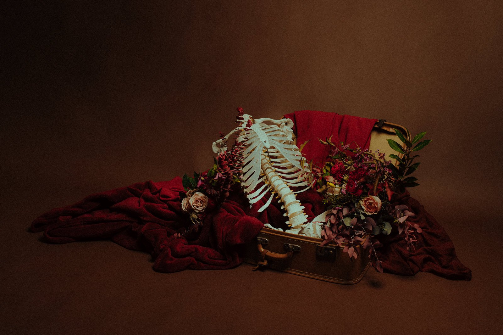 photographe toulouse nature morte studio