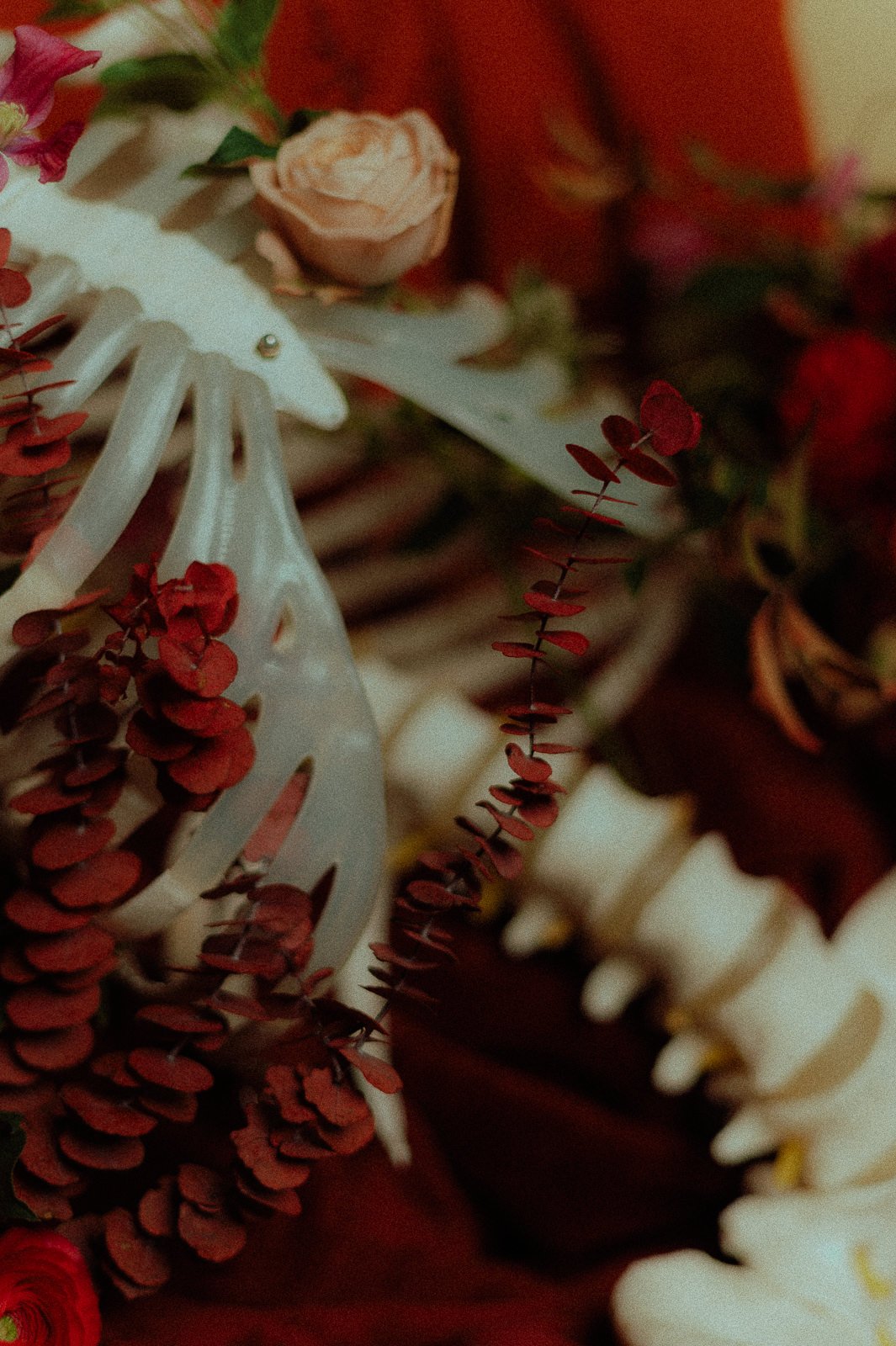 photographe toulouse nature morte studio pour entreprise