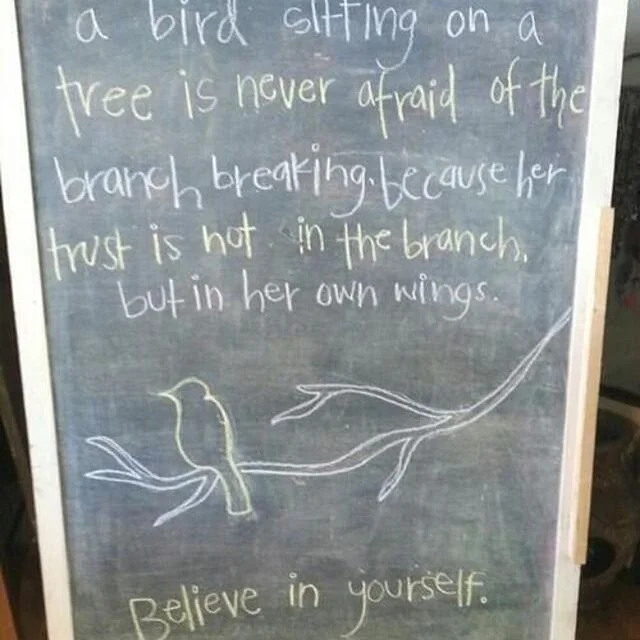 Loving all the birds
