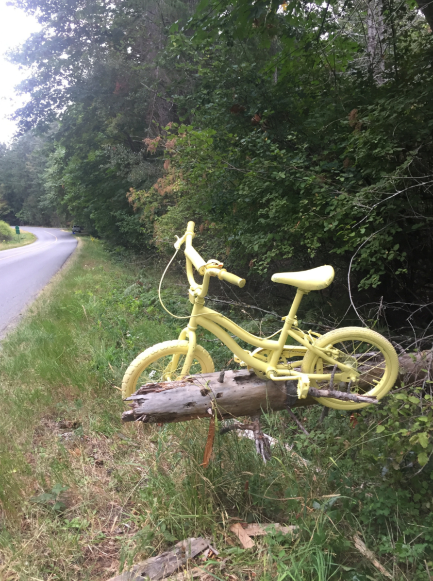 The Yellow Bikes - A Tale of Community Planning