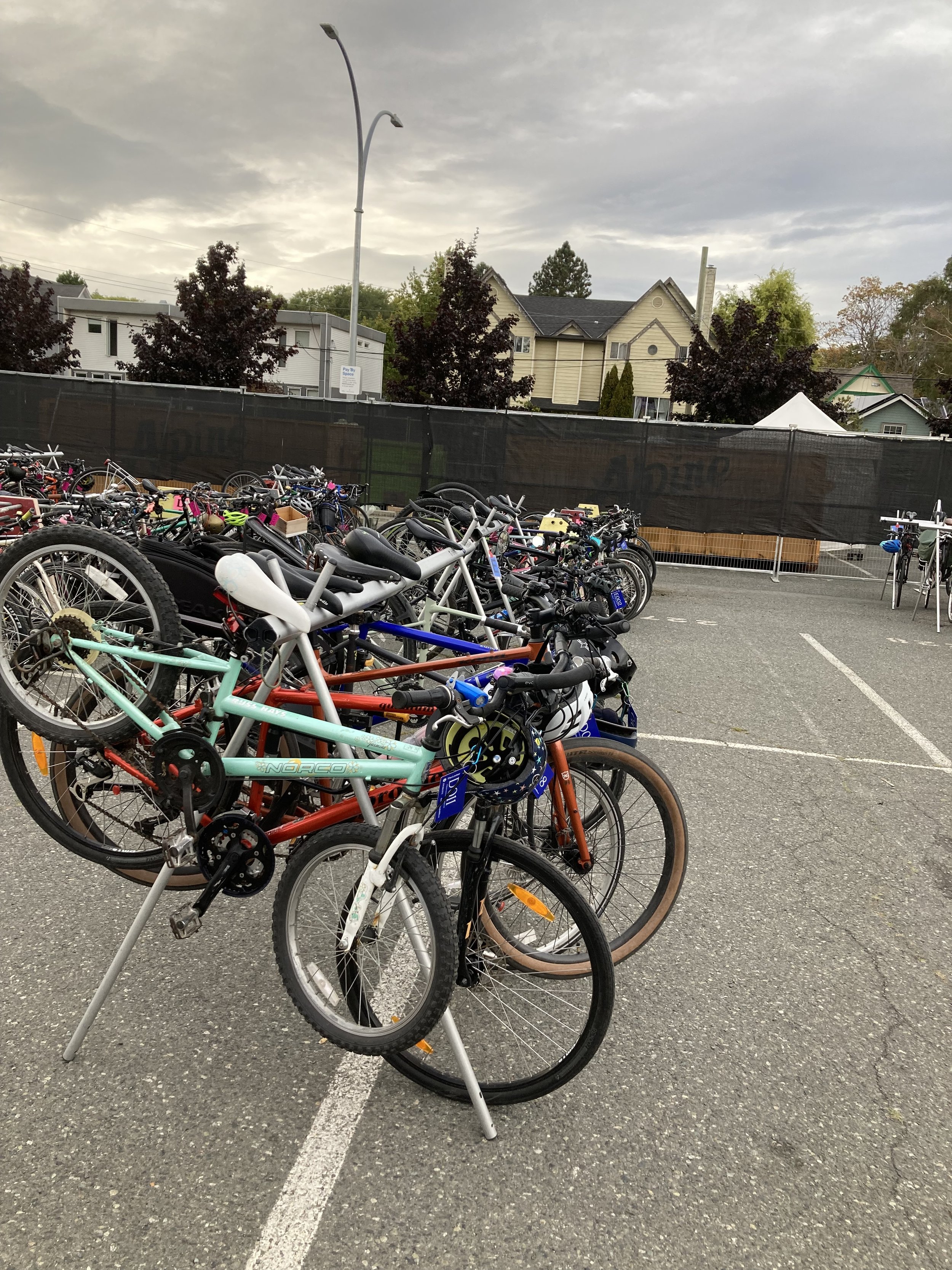 Valeted bikes on a triathlon-type rack