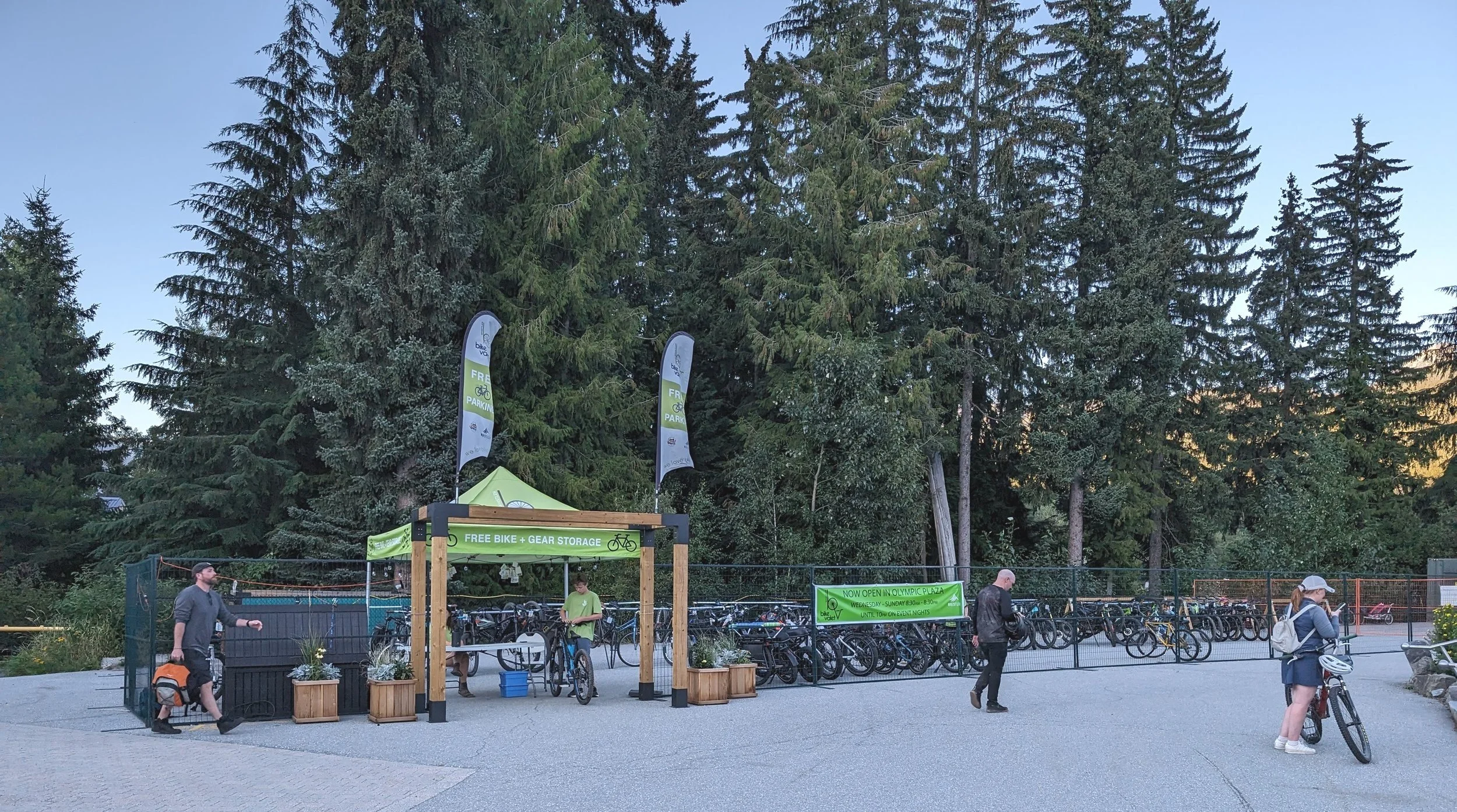 Whistler 3.jpg
