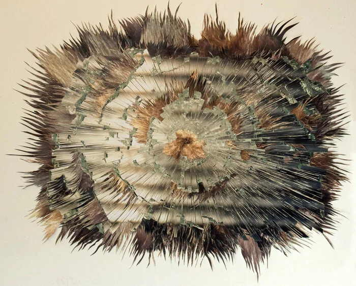 Counterattack1, 2016 Collage. Photographic prints