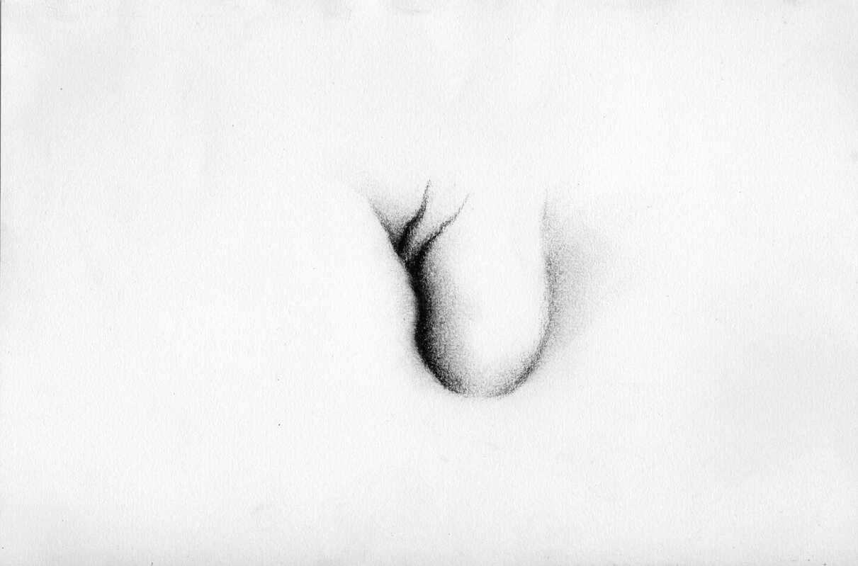 3.KaterinaPapazissi-ThatThatisNot3,2012-14.Charcoal,pastelonpaper,16x24cm.jpg