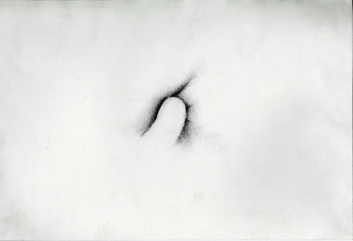 1.KaterinaPapazissi-ThatThatisNot1,2012-14.Charcoal,pastelonpaper,16x24cm.jpg