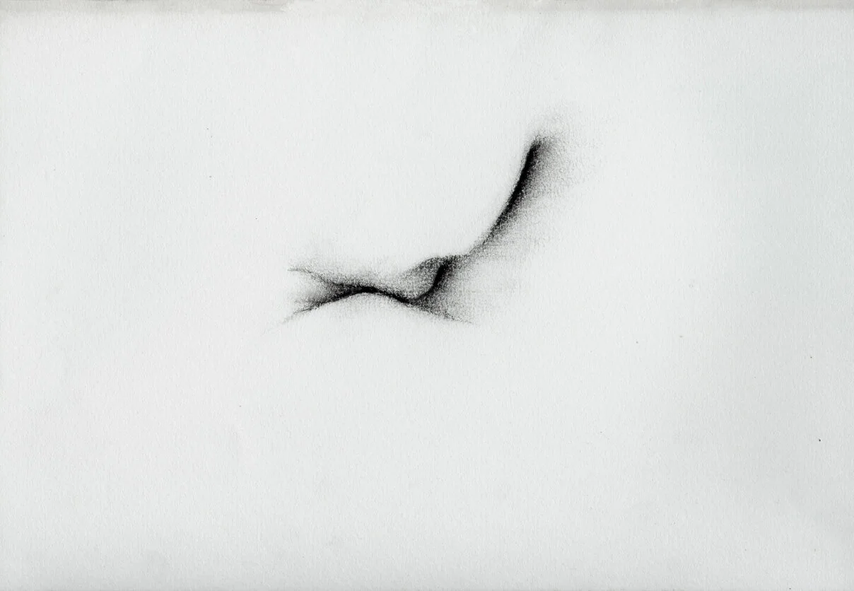 KaterinaPapazissi-ThatThatisNot6,2012-14Charcoal,pastelonpaper,16x24cm.jpg