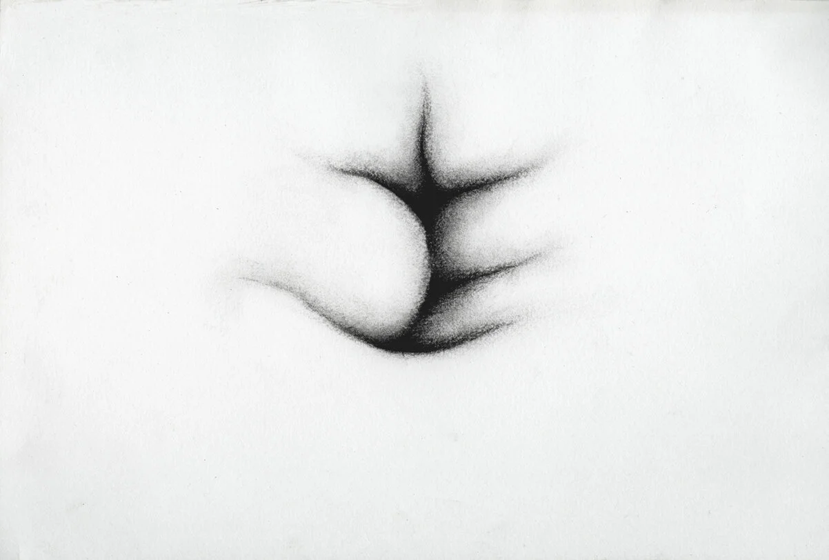 KaterinaPapazissi-ThatThatisNot11,2012-14.Charcoal,pastelonpaper,16x24cm.jpg