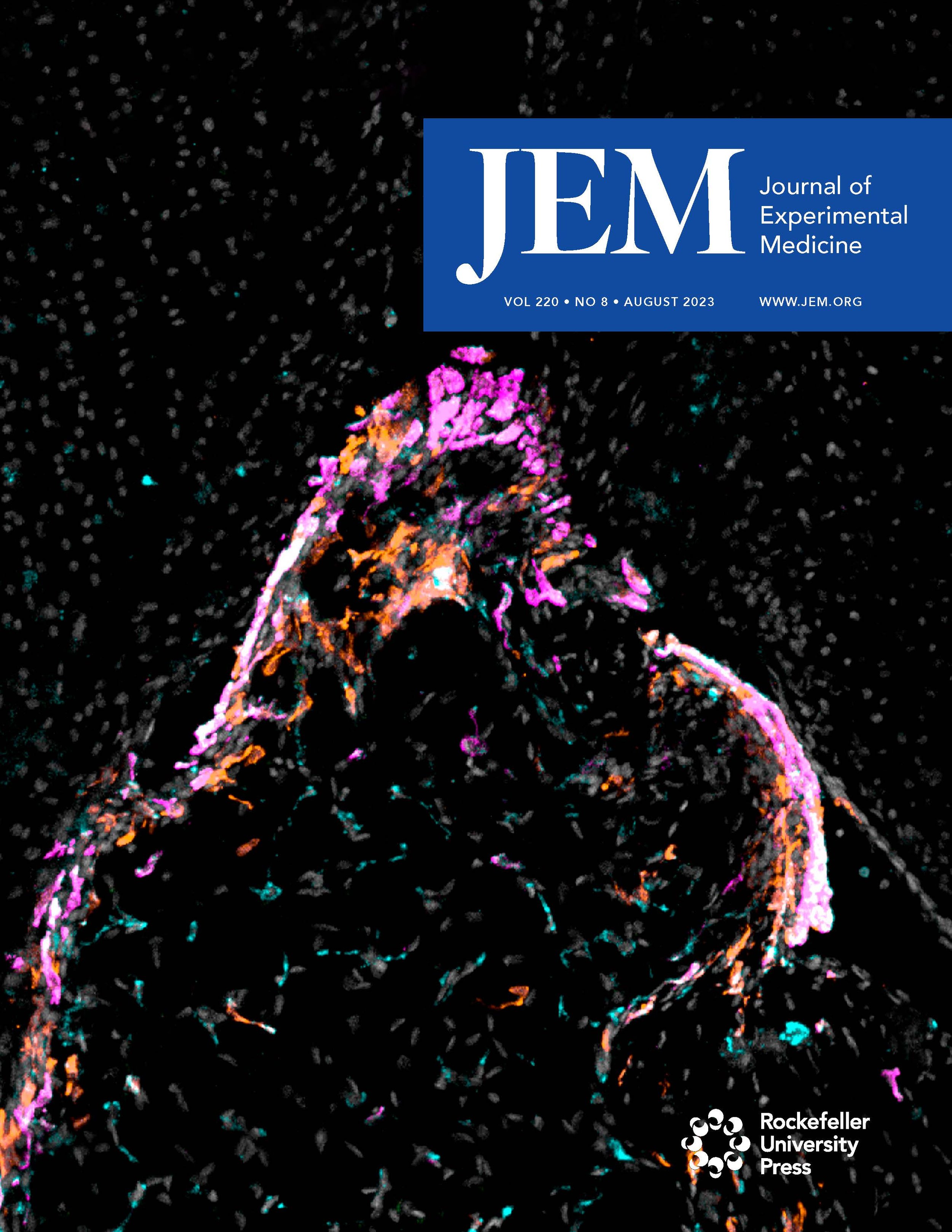 JEM.jpeg