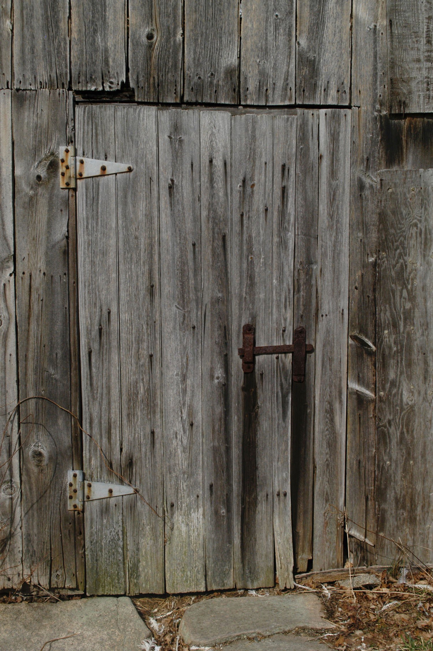 Ledyard Shack 2.jpeg