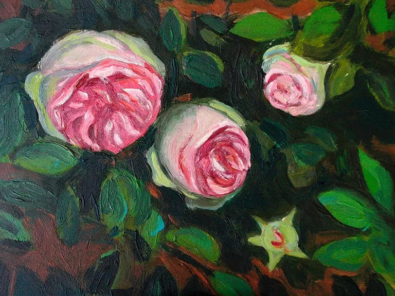 Provence Roses_96dpi.jpg