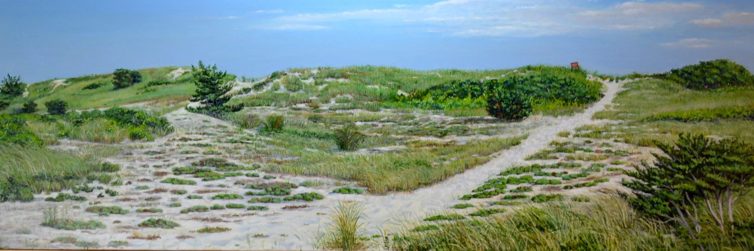 Path Over The Dune_96dpi.jpg
