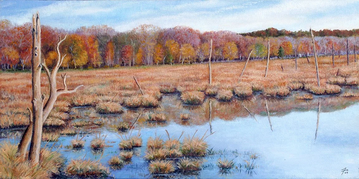 Currituck Marsh_96dpi.jpg