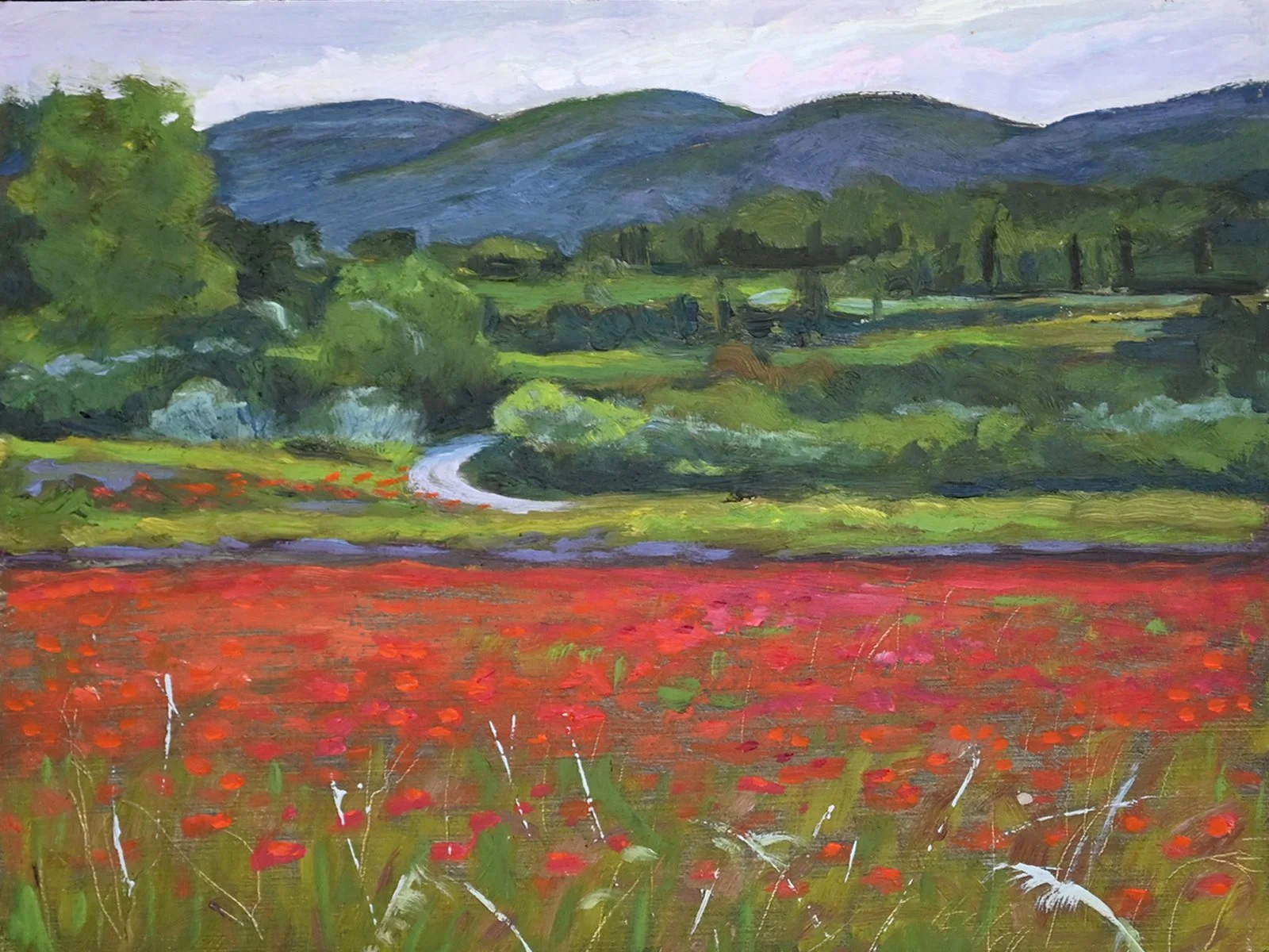 Provence Poppies_96dpi.jpg