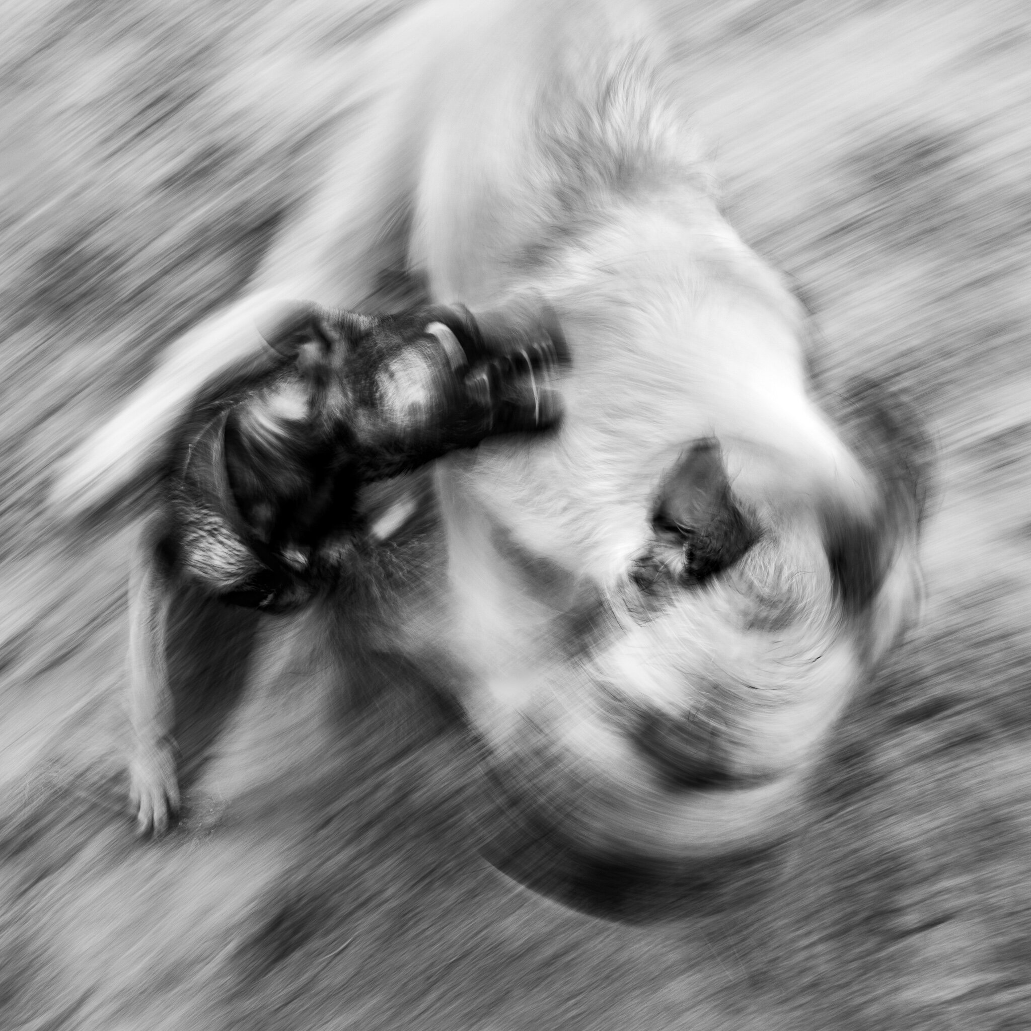 JLP_4-26-21-069.jpg