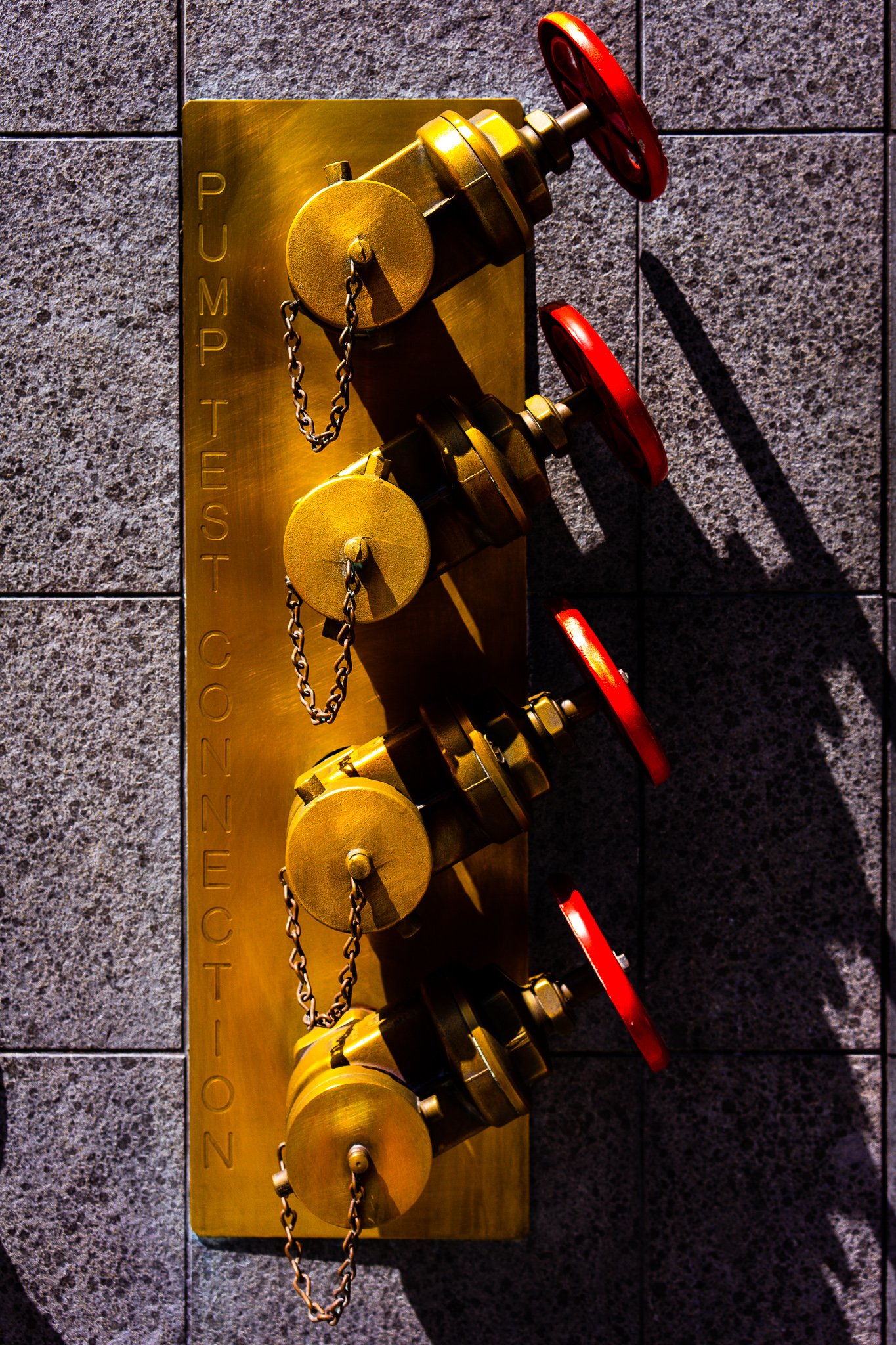 DMP_20190911_4SDDT.319.jpg