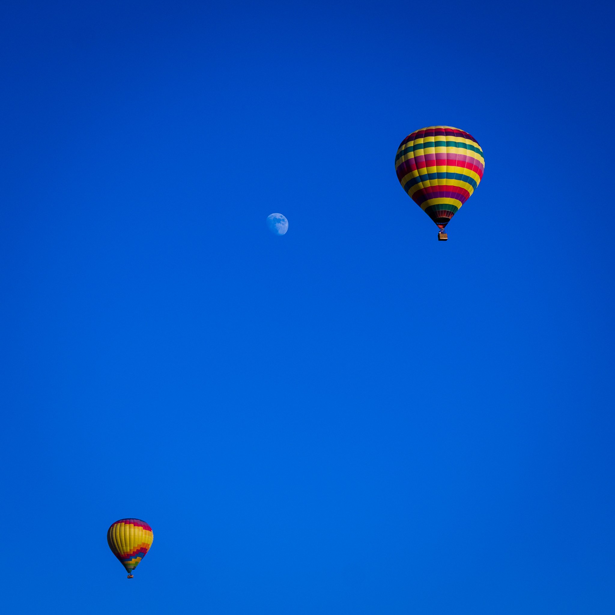 JLP_20200730_SL.314.jpg