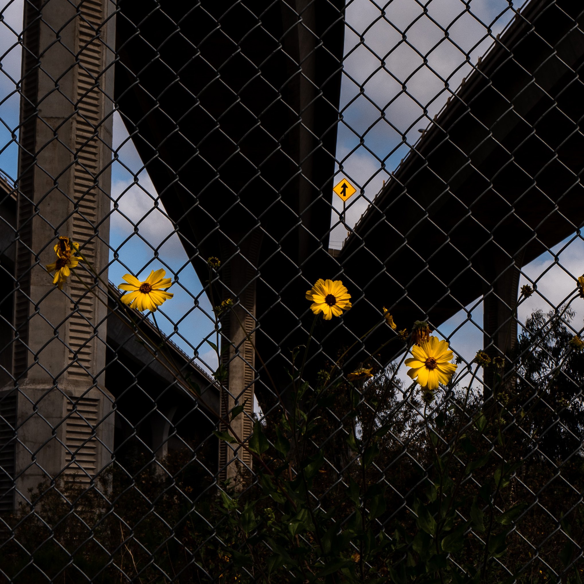 JLP_4-14-21-194.jpg