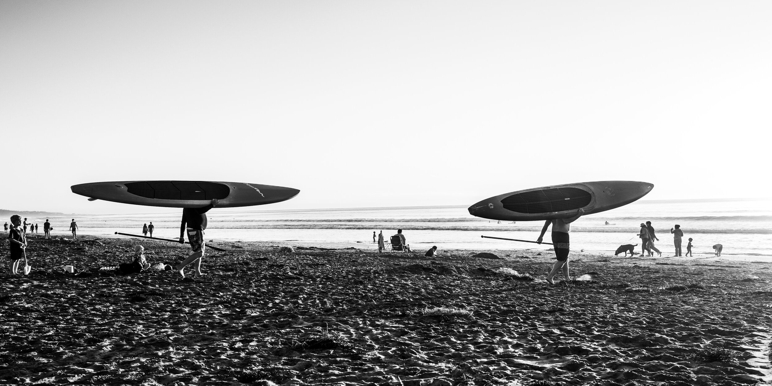 Two_Paddleboards copy.jpg