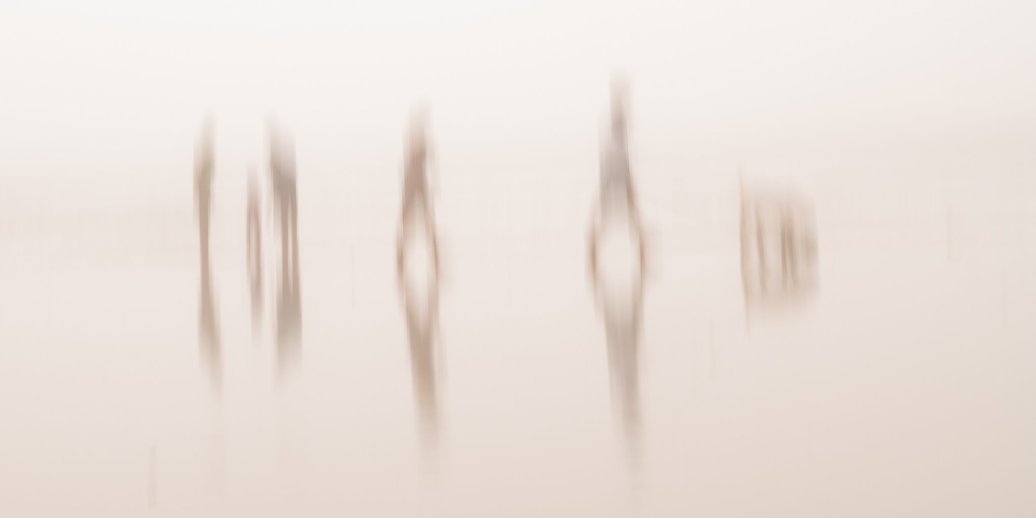 JLP_Cardiff_Fog.081.jpg