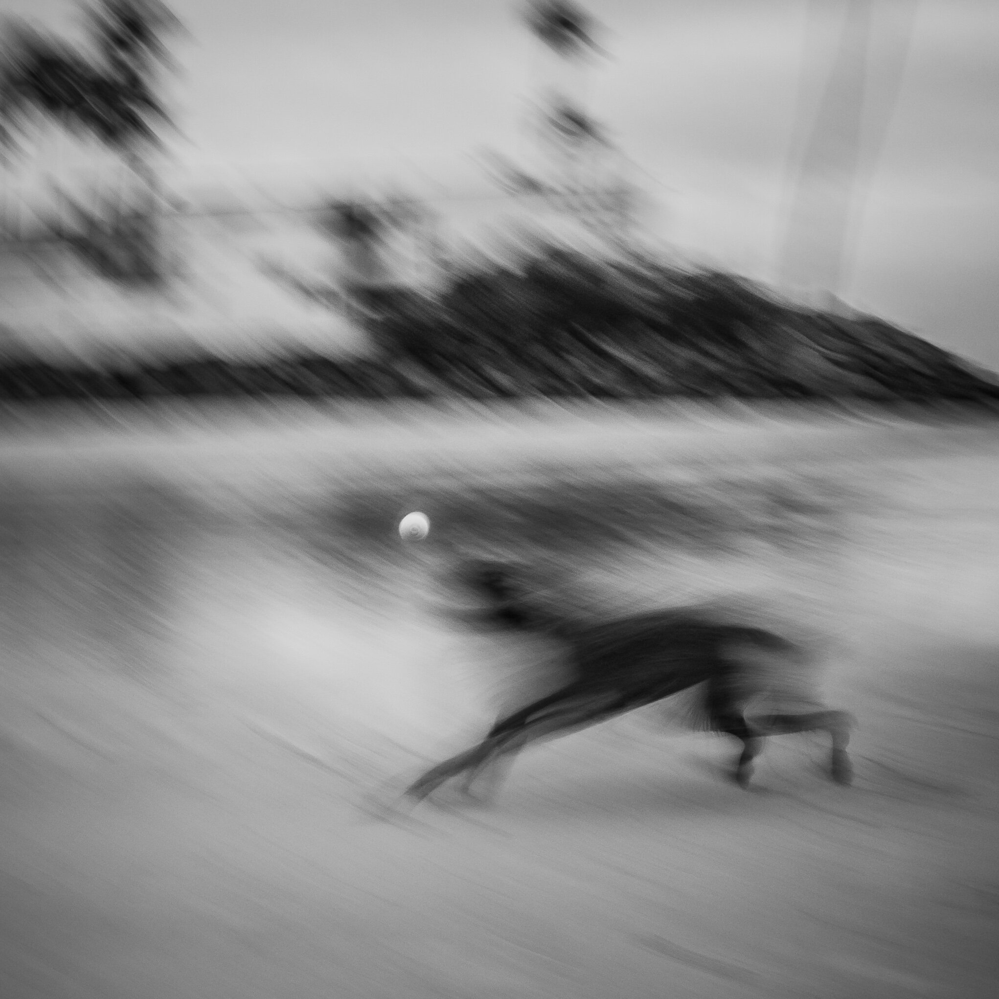 JLP_5-2-21-116.jpg