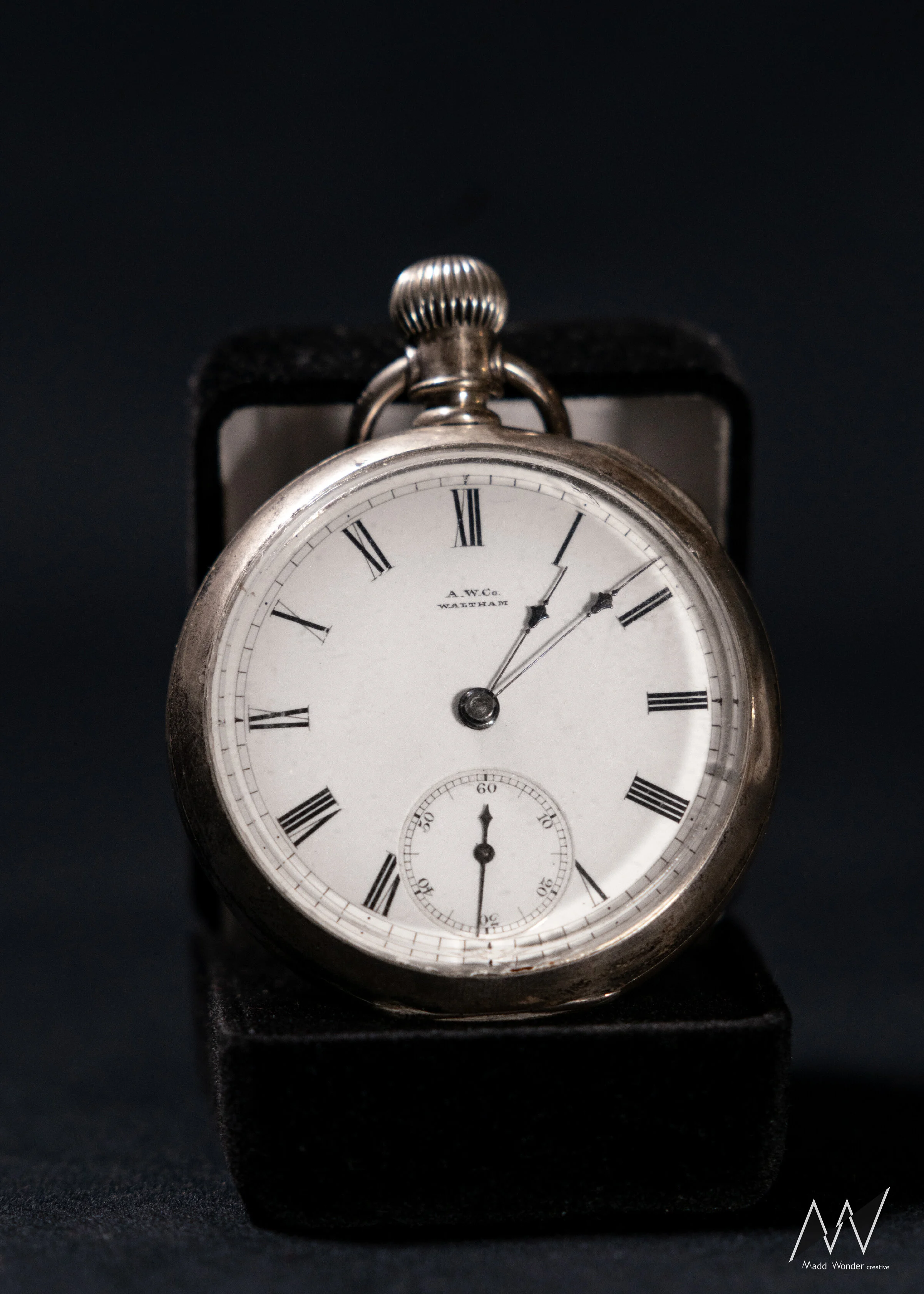 Portfolio-02793.jpg