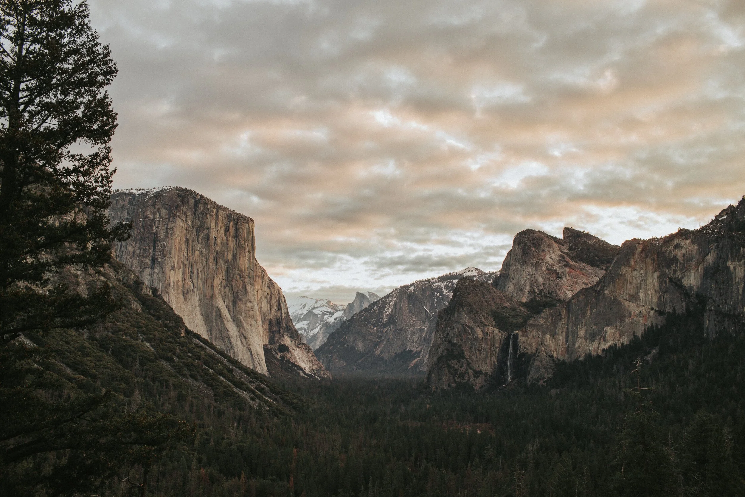 Photo Jan 24, 8 25 33 AM.jpg