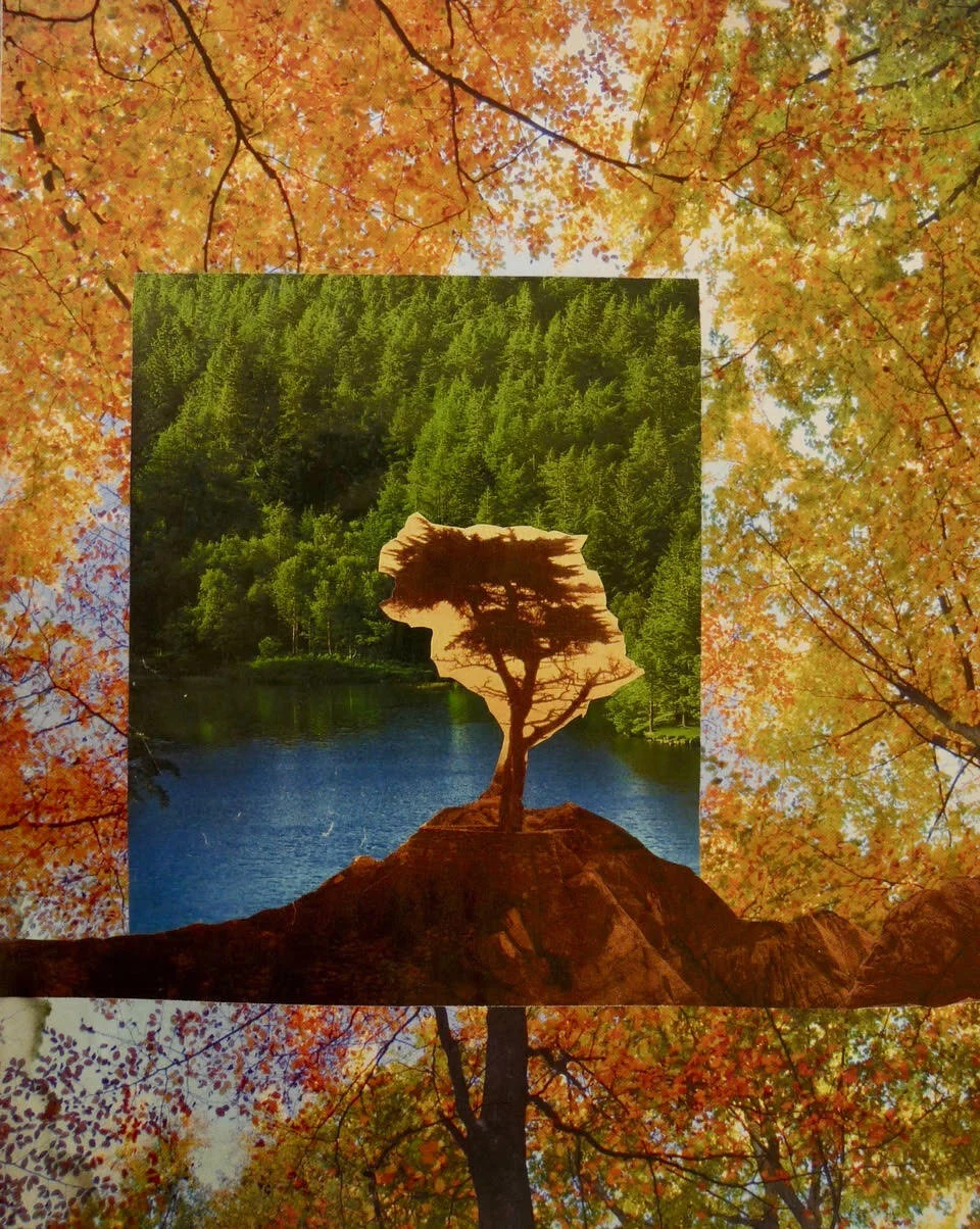 collage_lake.jpeg