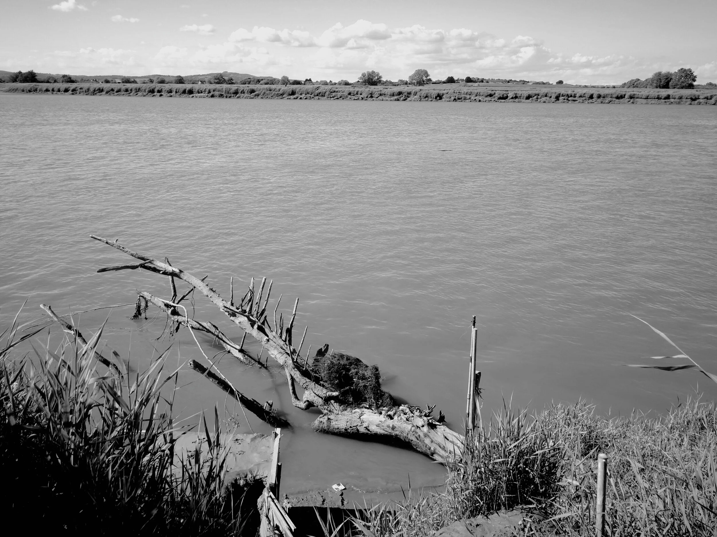 9framilode branch.jpg