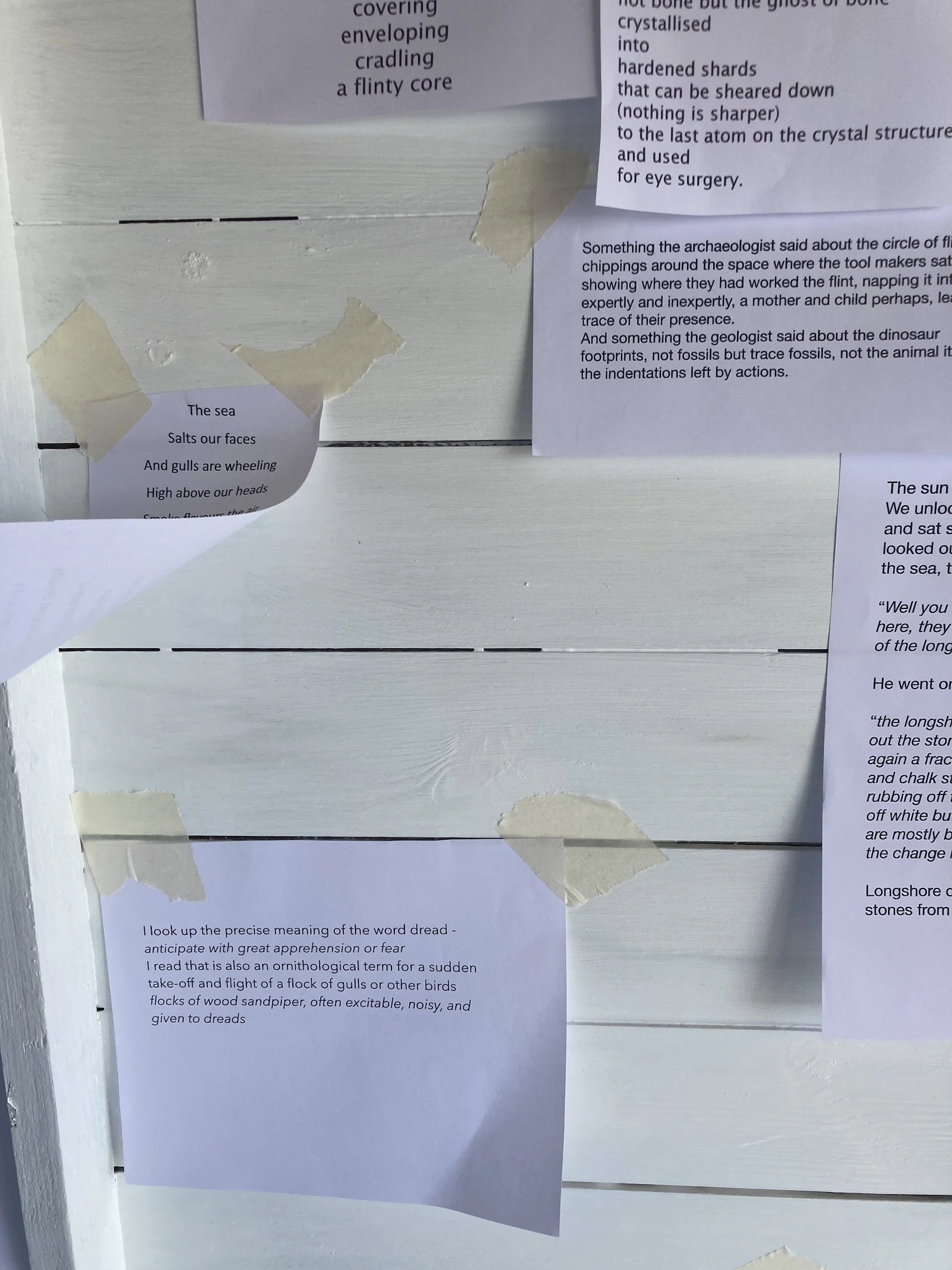 Observation Station writing copy.jpg