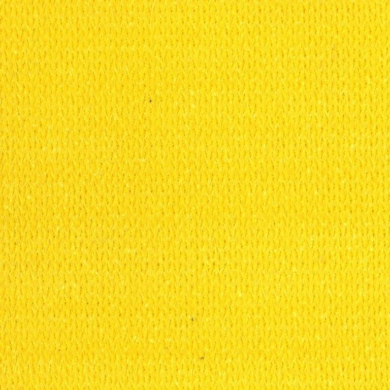 Sunshine yellow.jpg