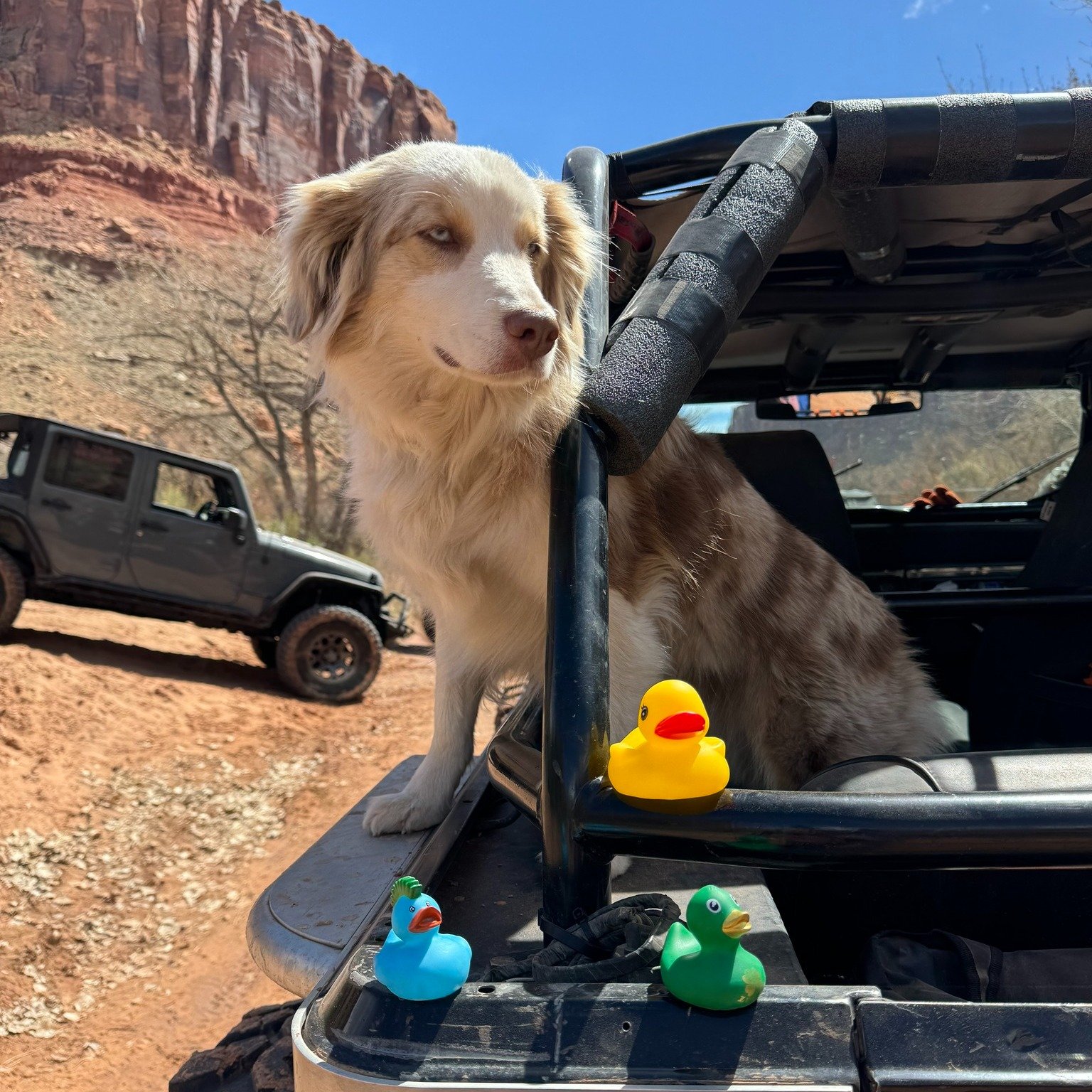 All through April, Richie&rsquo;s Diner Rancho Cucamonga is playing Duck! Duck! Jeep, both near and far!  Whether you are in the neighborhood or are on a Jeep Jamboree, tag us on social media when you post your Jeep/Duckie photos! You will be entered