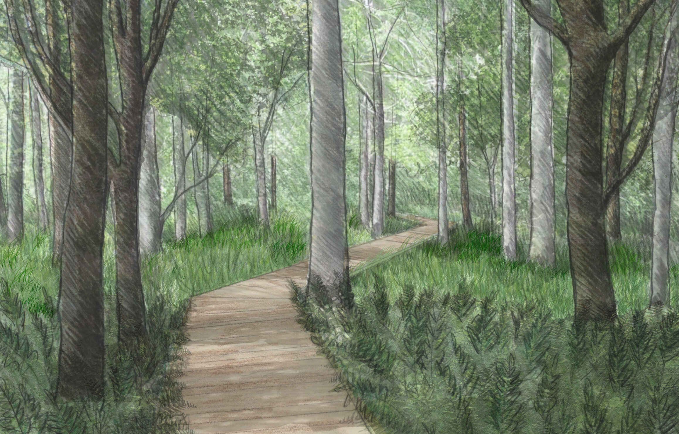 ACL_SK_boardwal through forest SK 170504.jpg