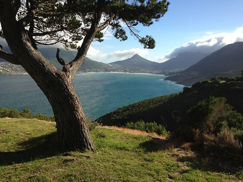 cape good hope3 post.jpg