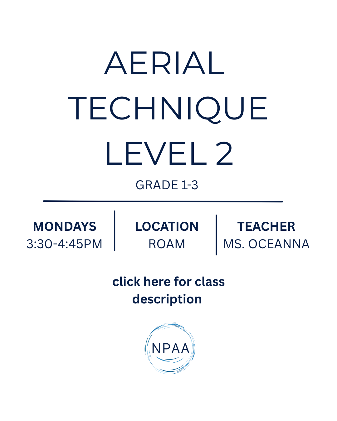 Aerial Arts Level 2