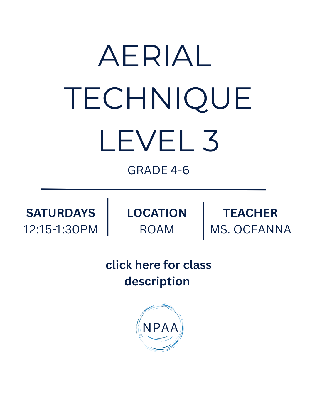 Aerial Arts Level 3