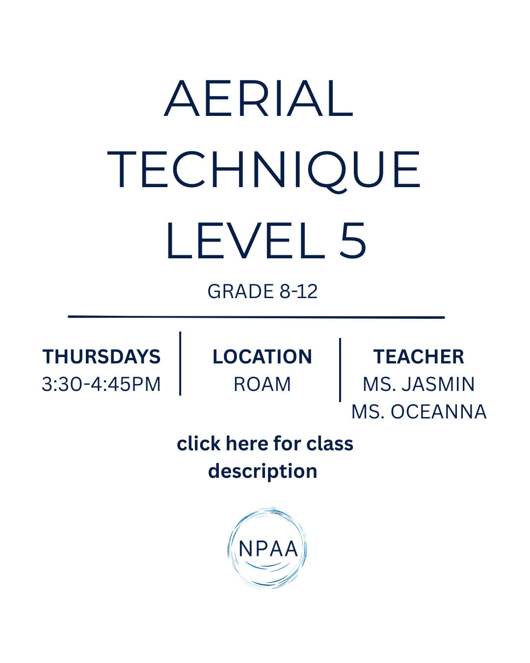 Aerial Arts Level 5