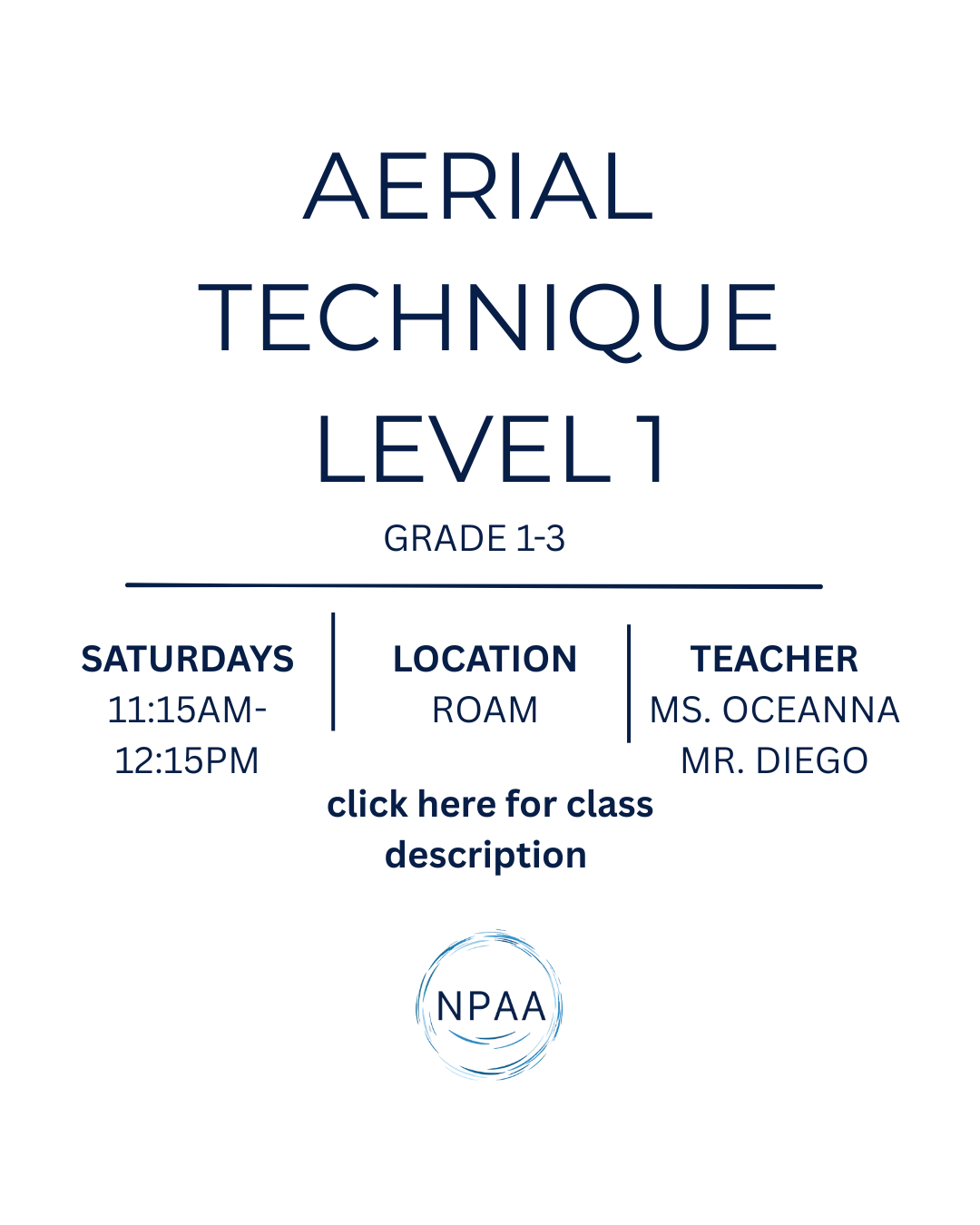 Aerial Arts Level 1
