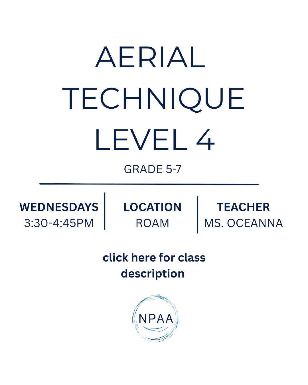 Aerial Arts Level 4