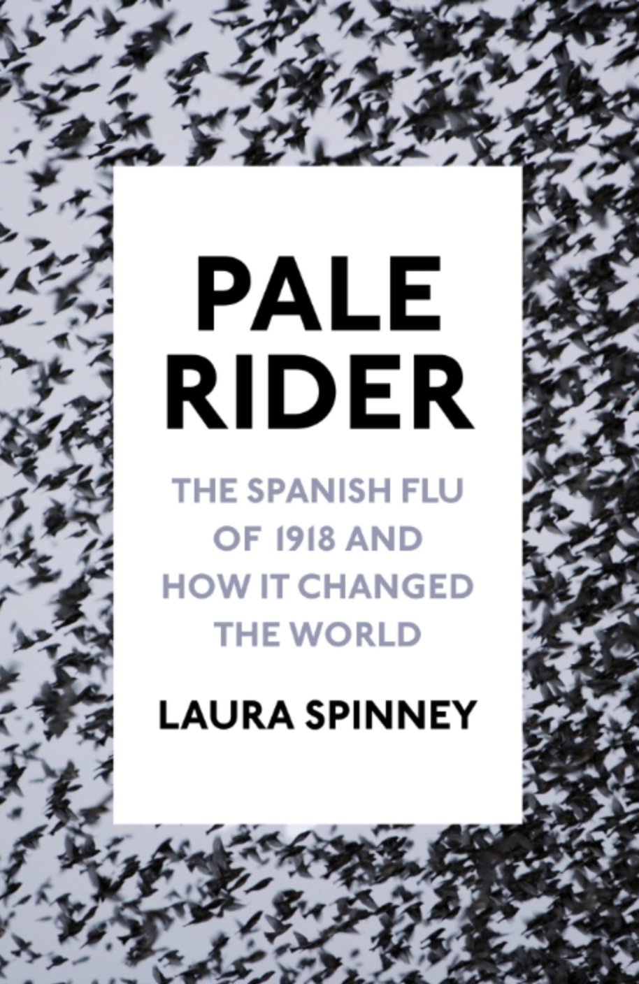 Pale Rider_Laura Spinney.jpg