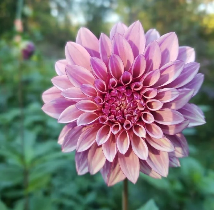 processed_2d711117cad8495ea836d4b80953eda2.jpeg