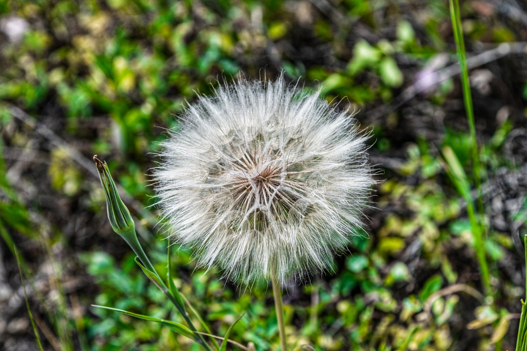 Couples Coaching Package 