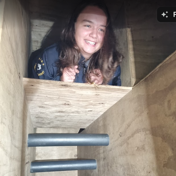 chicken coop.png