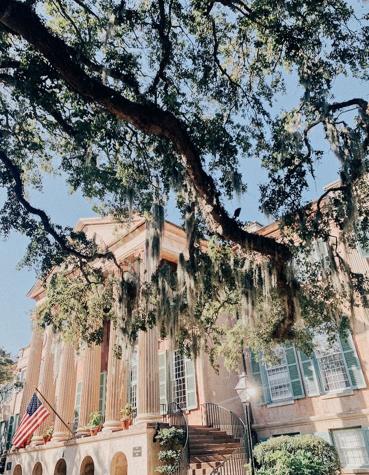 College of Charleston.jpeg