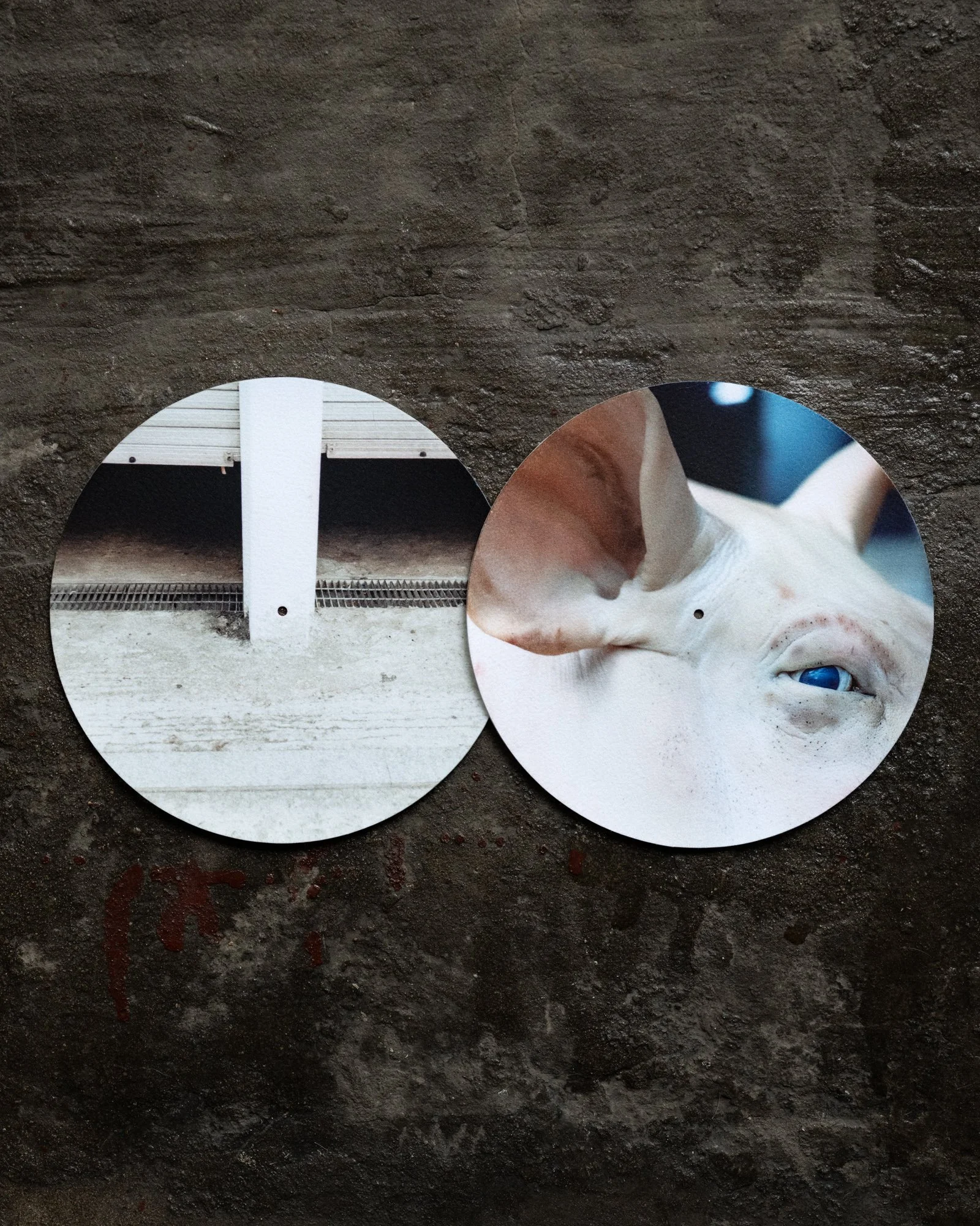 SM12 Product Shots-12-Edit.jpg