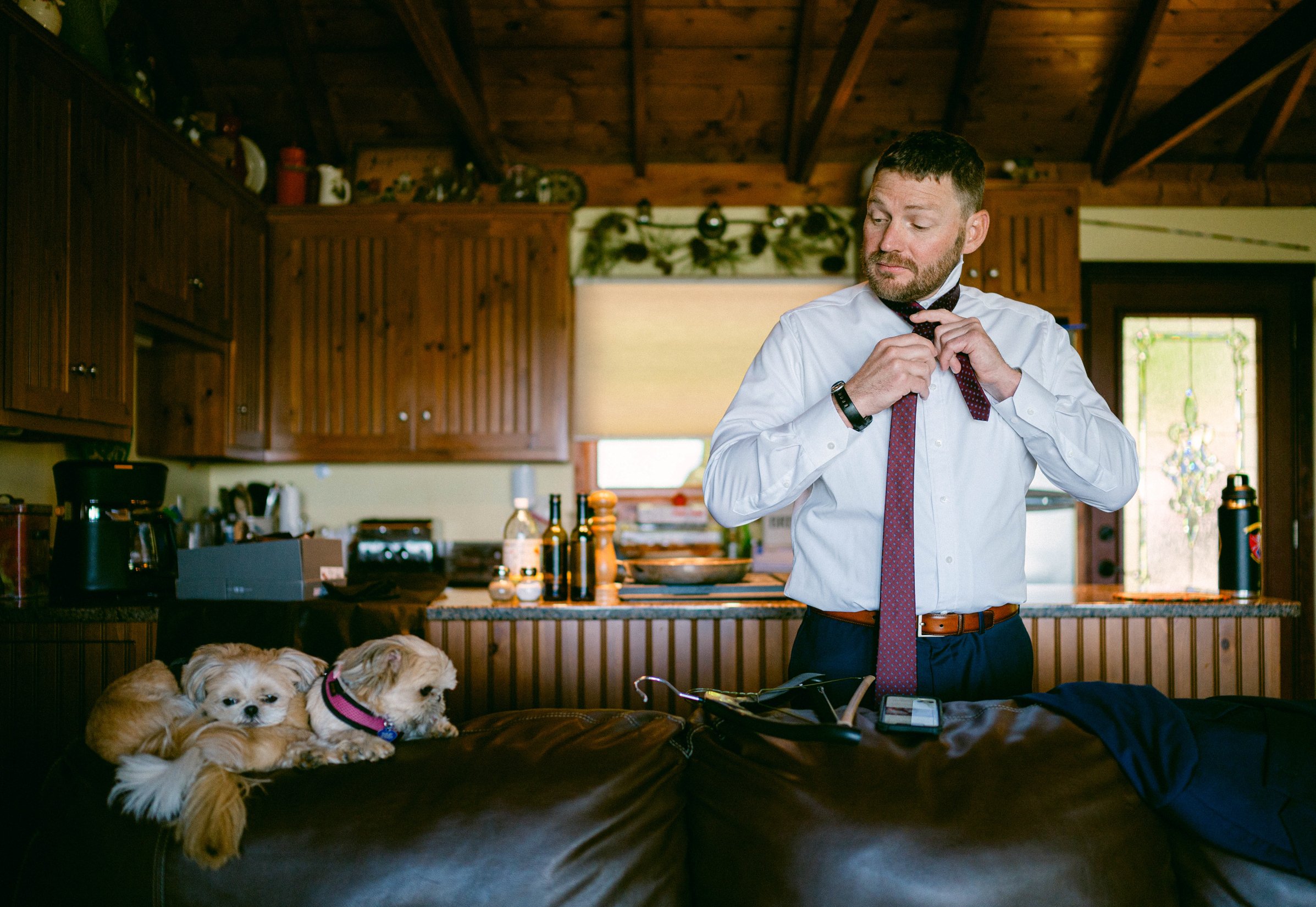 A man in a white dress shirt and red tie adjusting his collar in a kitchen, with three small dogs lying on a couch in the foreground. 
